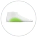 Genomsnittliga fotvalv